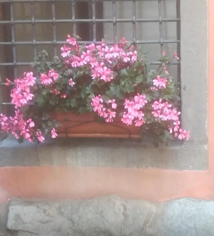 Casa Mirella Apartment Ловере Екстериор снимка